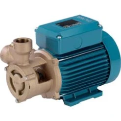 Calpeda B-TM 61E Bronze Peripheral Booster Pump 240V
