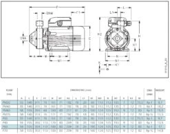 Lowara PM 30 Cast Iron Peripheral Booster Pump 240V -Electro Mechenical Shop p series1 dimension