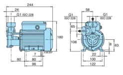 Calpeda TM 65E Peripheral Booster Pump 240V -Electro Mechenical Shop t 61 dimensions 3